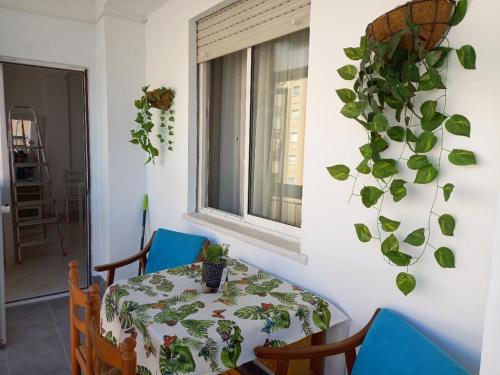 central apartment with large terrace malaga