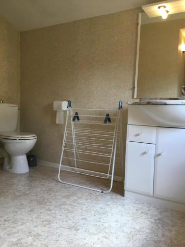 La salle de bains est pourvue de toilettes, d'un lavabo et d'une douche. dans l'établissement Chambre La noyeraie, à Saint-Nicolas-de-la-Grave