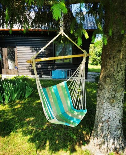 a hammock hanging from a tree in a yard at MERIKOTKA - a cozy wooden cottage, sLOVEnia in Braslovče