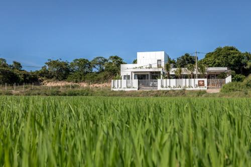 a house in front of a field of grass at PAMY Homestay Phú Yên in Phu Yen