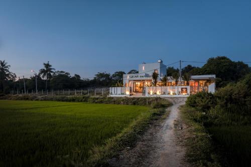 a house in the middle of a rice field at PAMY Homestay Phú Yên in Phu Yen
