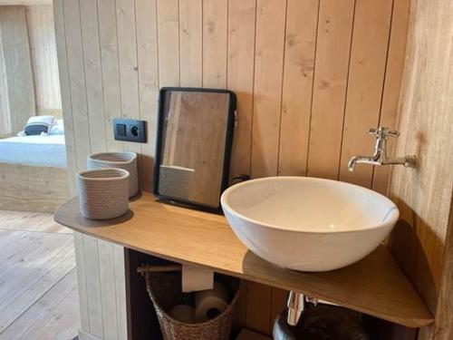La salle de bains est pourvue d'un lavabo et d'un miroir sur un comptoir. dans l'établissement Aquascope Virelles - Logements insolites, à Chimay