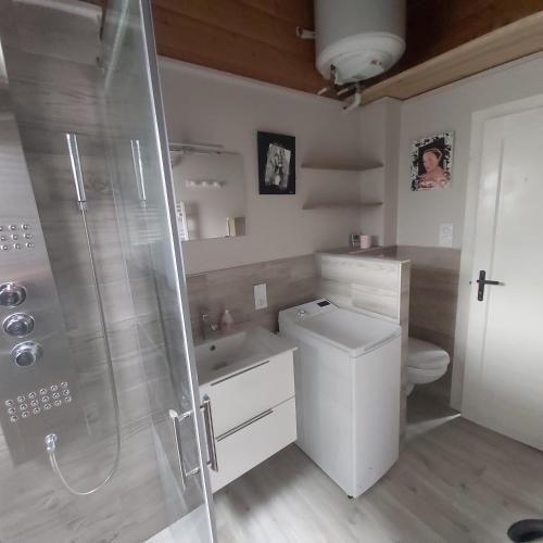 une salle de bain avec une douche, des toilettes et un lavabo dans l'établissement chalet de la Cercenée, à Gérardmer