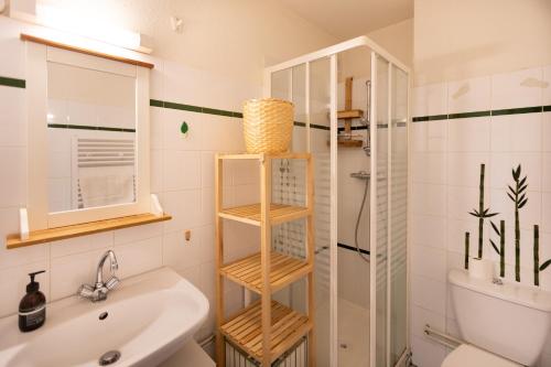 une salle de bain avec un lavabo, des toilettes et une douche dans l'établissement Chalet Pla del Mir - Station de ski à pied, aux Angles