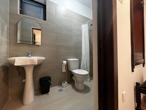 a bathroom with a sink and a toilet and a mirror at La Conac in Nufăru