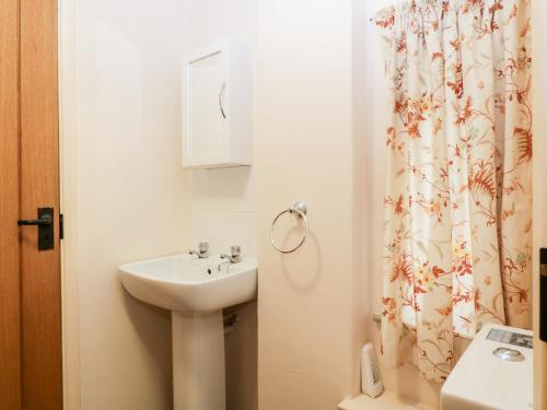 a bathroom with a sink and a shower curtain at Timber Barn in Eardisland