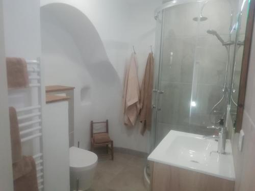 y baño con ducha, aseo y lavamanos. en A Torra, en Ville-di-Paraso