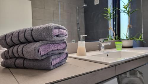 Bliss Nest - cazare spital Fundeni