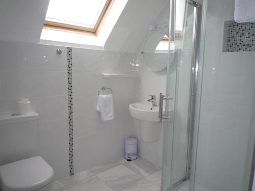 a bathroom with a shower and a toilet and a sink at Ballybunion Holiday Homes No 21 in Ballybunion