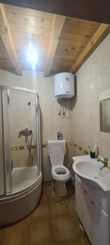 a bathroom with a shower and a toilet and a sink at Sava River IN in Ledine