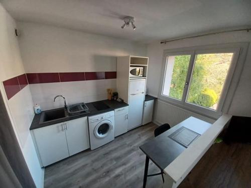 une petite cuisine avec un évier et une machine à laver dans l'établissement L'Escale, À proximité immédiate de la gare, à Dijon