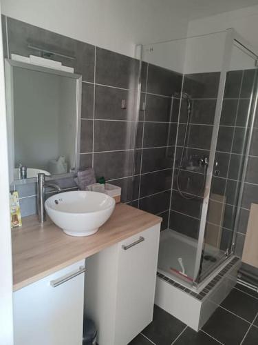 une salle de bain avec un lavabo et une douche dans l'établissement L'Escale, À proximité immédiate de la gare, à Dijon
