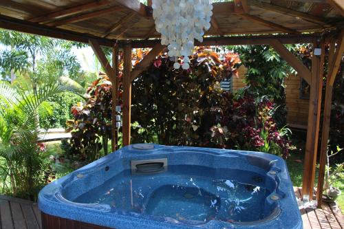 Un jardín fuera de LA LIANE DE JADE 974-Lodge Le Palissandre - jacuzzi privatif - piscine chauffée