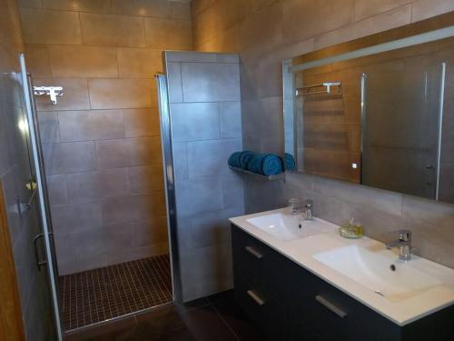a bathroom with a sink and a shower with a mirror at Haut de villa avec piscine in Saint-Joseph