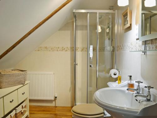 a bathroom with a shower and a toilet and a sink at West Wood Barn in Dunnington
