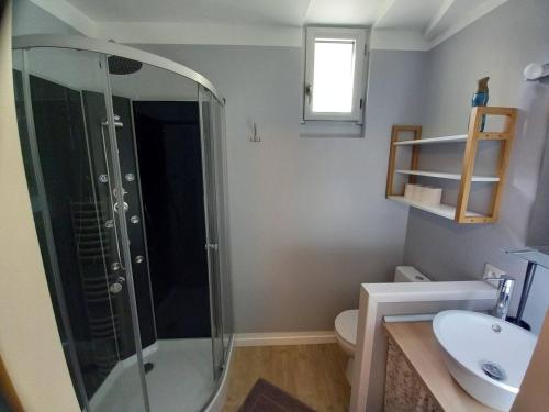 a bathroom with a shower and a toilet and a sink at La Grelauderie 1 in Saintes