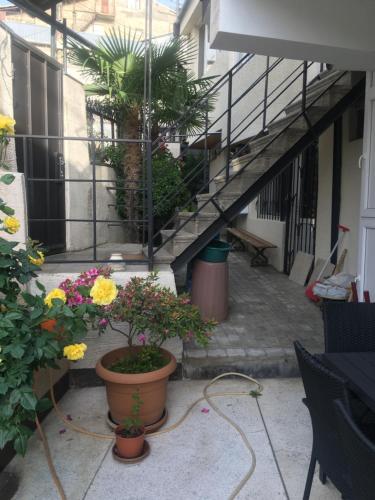 Φωτογραφία από το άλμπουμ του 10 shindisi street,Tbilisi στην Τιφλίδα