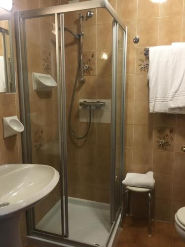 a bathroom with a shower and a toilet and a sink at Hotel Juventus in Auronzo di Cadore