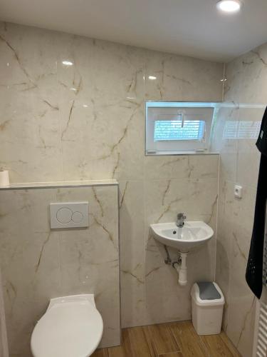 a bathroom with a toilet and a sink at Zahradní dům in Prague