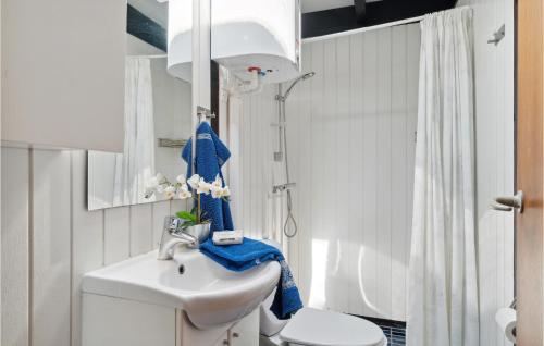 uma casa de banho com um WC branco e um lavatório. em Gorgeous Home In Grlev With Wifi em Gørlev