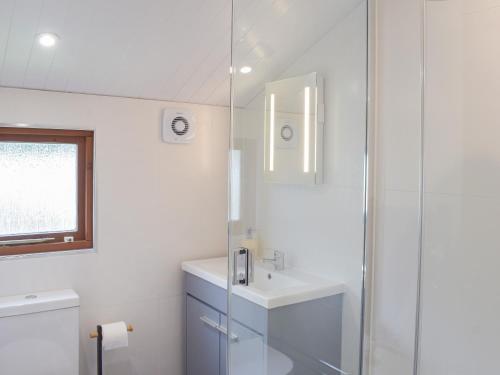 ein weißes Bad mit einem Waschbecken und einer Dusche in der Unterkunft Woodlands Lodge in Colmonell