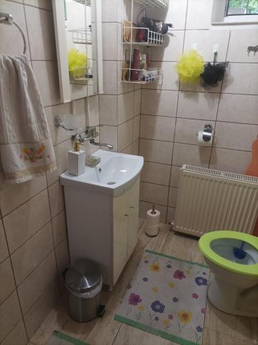 uma casa de banho com um lavatório e um WC em Locuința două dormitoare pt 3-4persoane em Cluj-Napoca