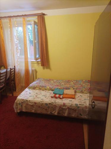 um quarto com uma cama e uma janela em Locuința două dormitoare pt 3-4persoane em Cluj-Napoca