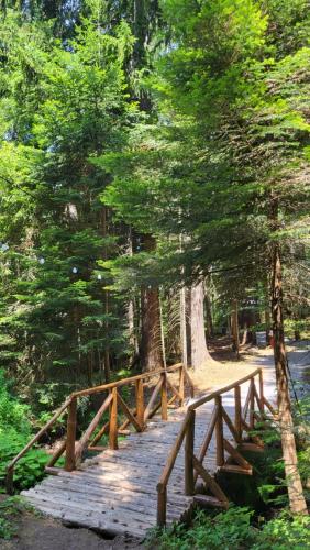 a wooden bridge in the middle of a forest at Pinewood ANG luxurious apartment A43, Borovets Gardens in Borovets