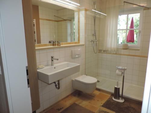 a bathroom with a sink and a toilet and a mirror at Ferienwohnung-Geltendorf Nähe Ammersee in Geltendorf