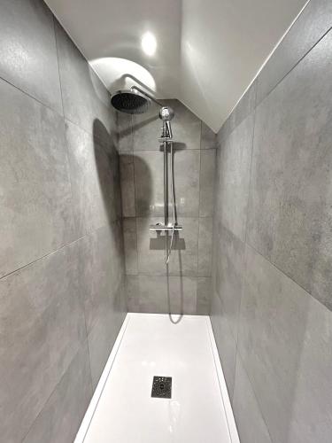 y baño con ducha y aseo. en Les Chambres T4, en Huy