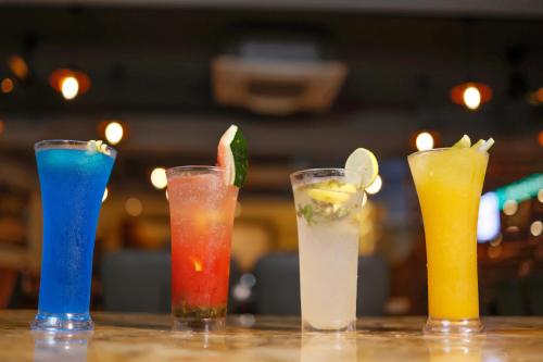 Bebidas en Hotel Dolphin Grand