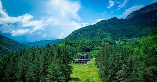 a house in the middle of a forest with mountains at Вила АРБОРЕТУМ in Teteven