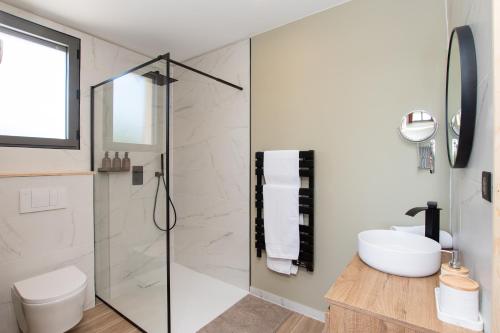 a bathroom with a shower and a toilet and a sink at La Villa face au Lac in Saramon