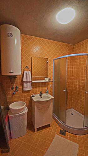 a bathroom with a shower and a sink and a toilet at Villa Dandelion in Žabljak