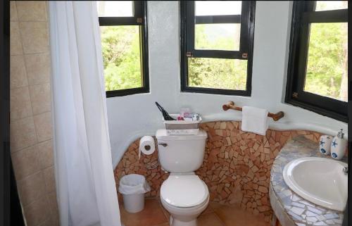 a bathroom with a toilet and a sink and two windows at Villa La Fortuna in Filipina