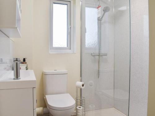 a bathroom with a toilet and a glass shower at Woodlander in Dorchester