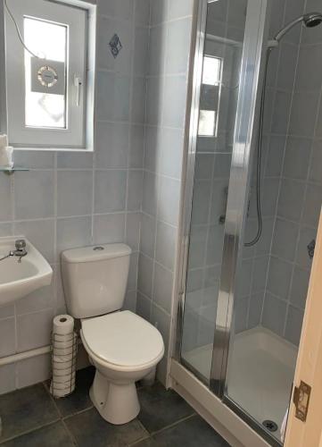La salle de bains est pourvue d'une douche et de toilettes. dans l'établissement Abercrave Inn, à Abercraf