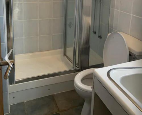 La salle de bains est pourvue d'une douche, de toilettes et d'un lavabo. dans l'établissement Abercrave Inn, à Abercraf