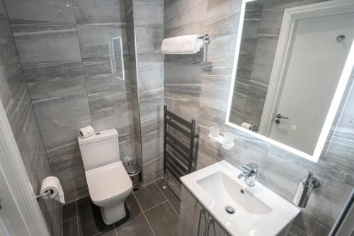a bathroom with a toilet and a sink and a mirror at The Fort Hotel in Dundee