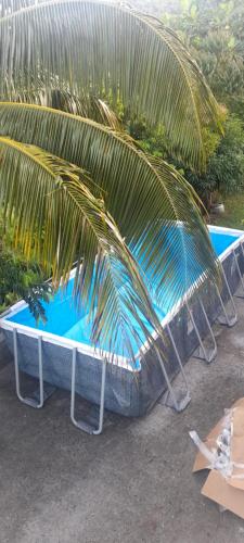 Kolam renang di atau dekat dengan Refuge de Joel