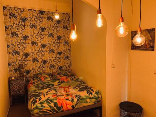 um quarto com uma cama com uma cortina e luzes em Entre gare Saint Charles et vieux port em Marselha