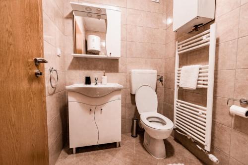 uma casa de banho com um WC, um lavatório e um espelho. em Apartman Ivan em Livno