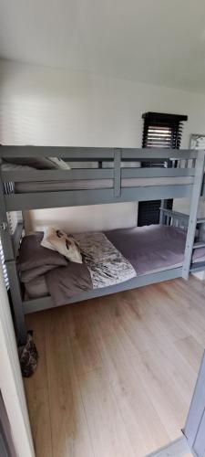 Bunk bed o mga bunk bed sa kuwarto sa The Cwtch