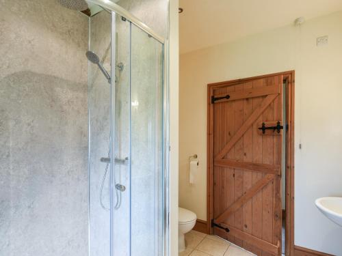 a bathroom with a shower and a toilet and a door at Y Dderwen in Pen-y-bont-fawr