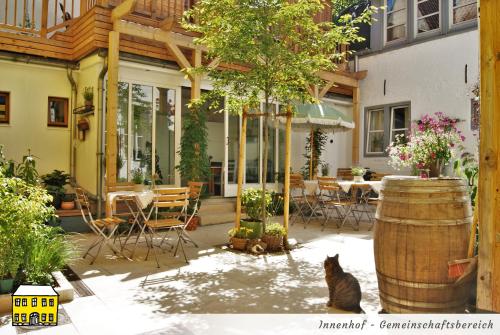 a cat sitting in front of a house with a barrel at Das Gelbe Haus - Drei besondere Ferienwohnungen in Flensburg