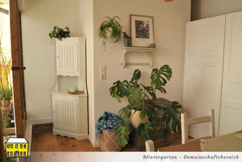 a living room with a potted plant in the corner at Das Gelbe Haus - Drei besondere Ferienwohnungen in Flensburg