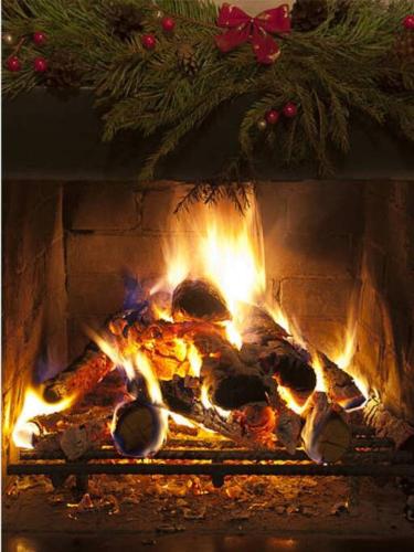 a fire in a fireplace with a christmas tree at Appartamento panoramico Casa Gerro in Averara