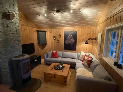 een woonkamer met een bank en een tv bij TRYSIL - Koselig norsk fjellhytte in Nybergsund