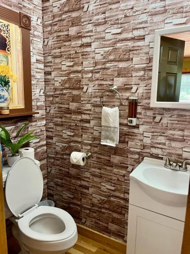 a bathroom with a toilet and a sink at Alwar House: A mountain paradise in Piney Creek