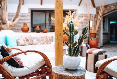 a cactus in a vase sitting on a table at Hotel de Sal Luna Salada in Colchani